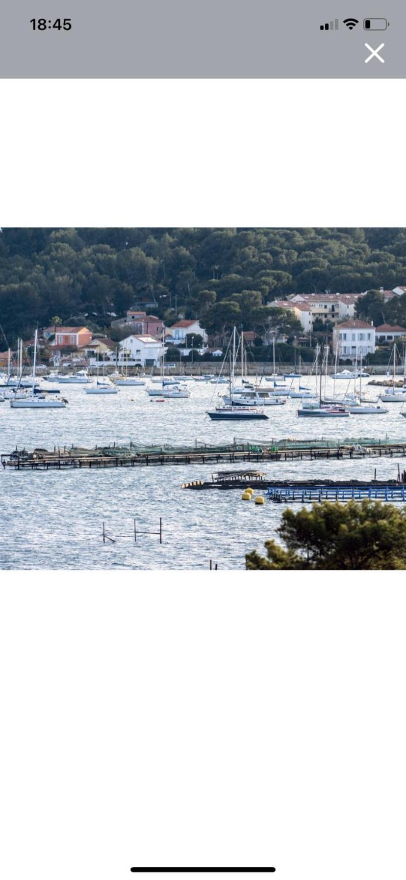 Studio Avec Vue Mer Et Terrasse La Seyne-sur-Mer Eksteriør billede